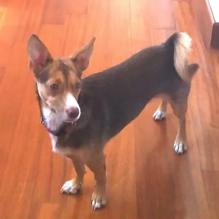 Vendégház Anna Vi Guest Róma